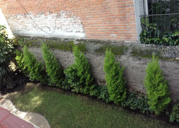 Alquiler de vacaciones: Hostal Centro de Coyoacan